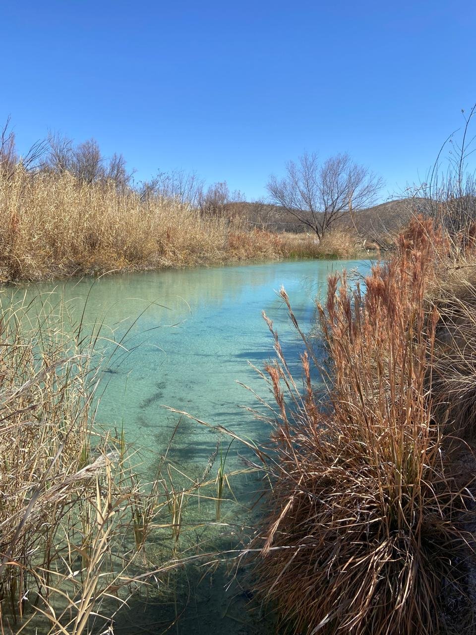 Sitio RAMSAR , reserva del Cachorrito de Julimes